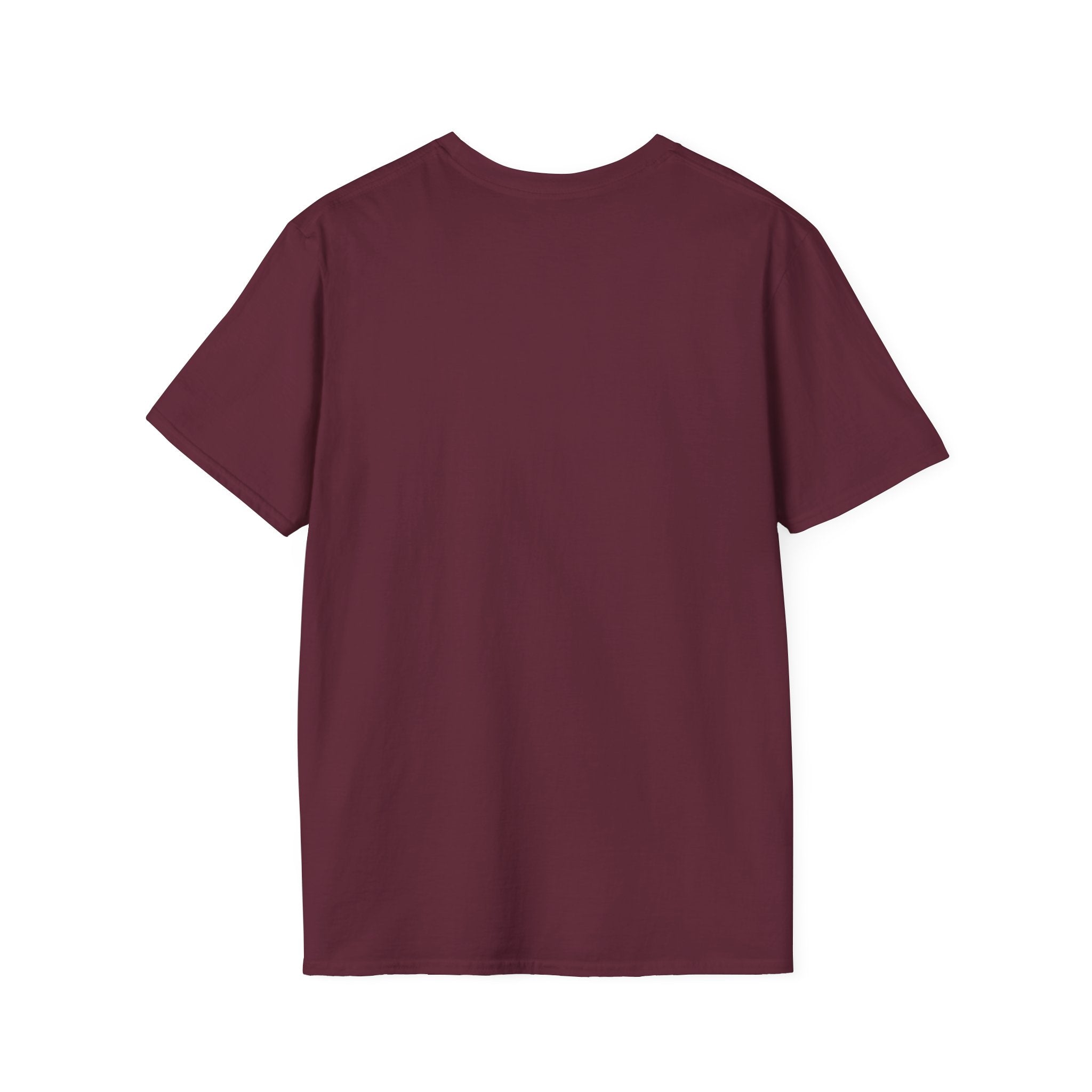 Pickleball Crossed Paddles Graphic Tee for Pickleball Fans